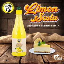 LİMON SOSU HACI MUHSİN EFEND  500ML*12=KOLİ