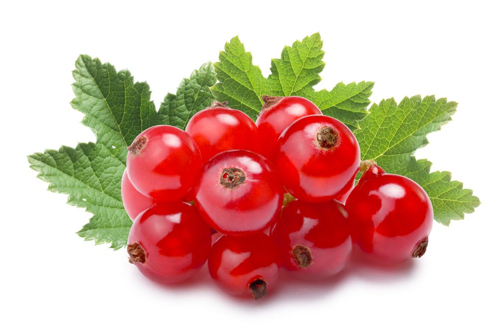 DONUK FRENK ÜZÜMÜ 500GR